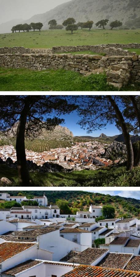 Hotel Rural Palacete De Manara Montejaque Extérieur photo